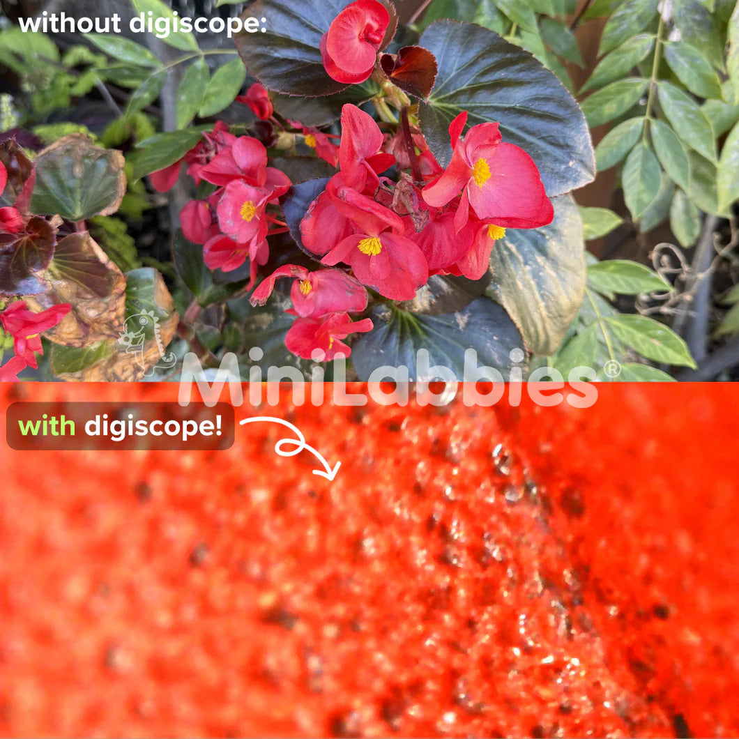 Children's Portable Optical Microscope